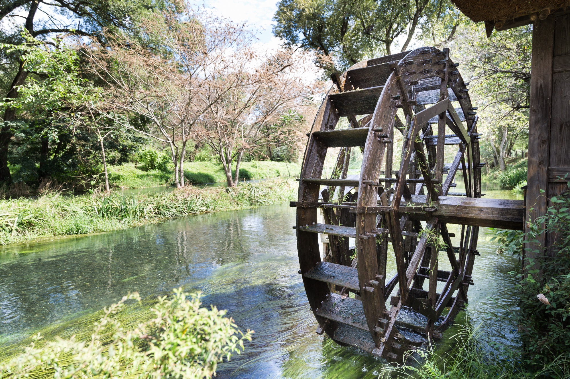 ancient water wheel within serene and scenic river